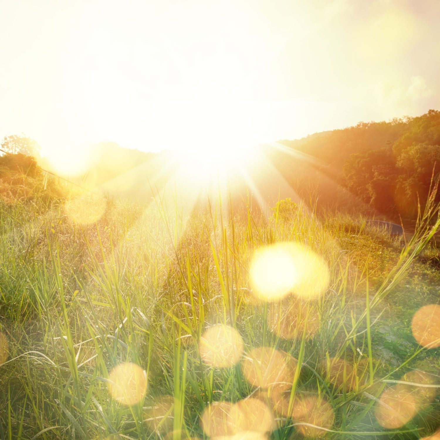 Meadow landscape refreshment with sunray and golden bokeh.
Beautiful sunrise in the mountain.